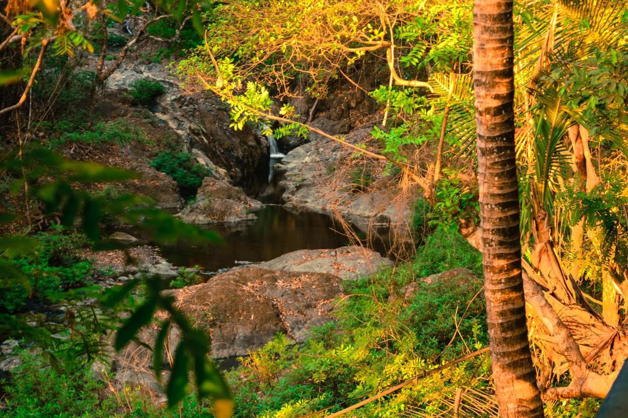 Hotel La Cascada بونتاريناس المظهر الخارجي الصورة